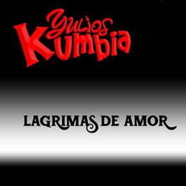 Album cover of Lagrimas De Amor