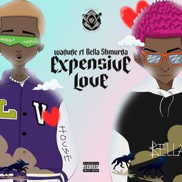 Album cover of Expensive Love