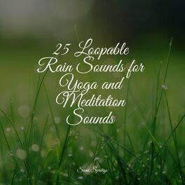 Album cover of 25 Loopable Rain Sounds for Yoga and Meditation Sounds
