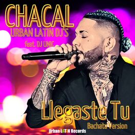 Album cover of Llegaste Tu (Bachata Version)