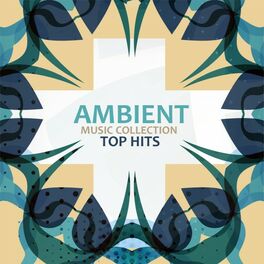 Album cover of Ambient
