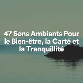 Album cover of 47 Sons Ambiants Pour le Bien-être, la Carté et la Tranquillité