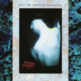 Album cover of Mind: The Perpetual Intercourse