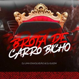 Album cover of Brota De Carro Bicho (feat. Dj Guizim)