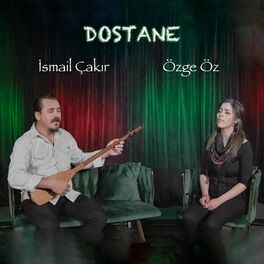 Album cover of Dostane