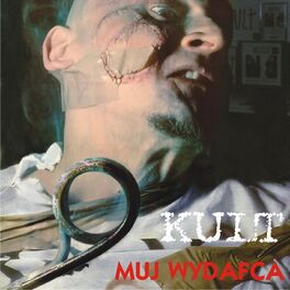 Album cover of Muj wydafca