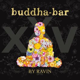 Album cover of Buddha Bar XXV