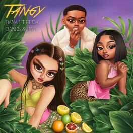 Album cover of Tangy (feat. Erica Banks & Jay1) [Remix]
