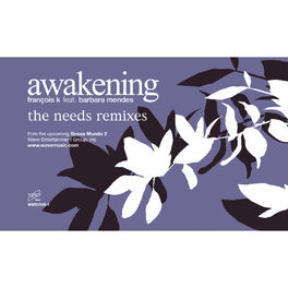 Album cover of Awakening (feat. Barbara Mendes) [Needs Remixes]