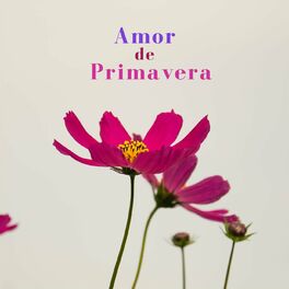Album cover of Amor de primavera