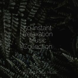 Album cover of 50 Instant Relaxation Music Collection