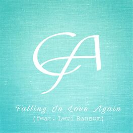 Album cover of Falling In Love Again
