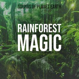 Album cover of Rainforest Magic