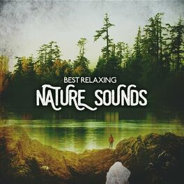 Album cover of Best Relaxing Nature Sounds