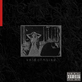Album cover of Void of Noise (feat. trxstxssx)