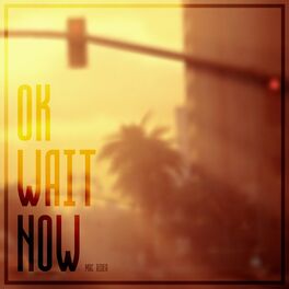 Album cover of Ok Wait Now