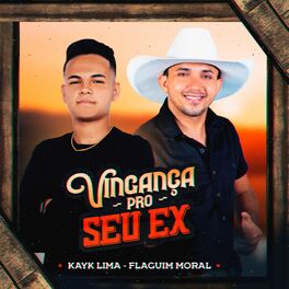 Album cover of Vingança Pro Seu Ex