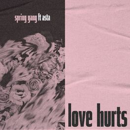 Album cover of love hurts