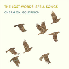 Album cover of Charm on, Goldfinch