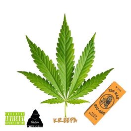 Album cover of Zig Zag