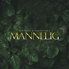 Album cover of Mannelig