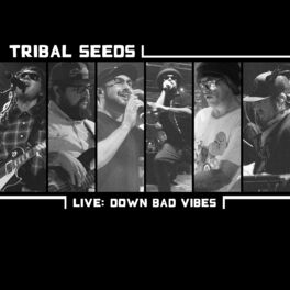 Album cover of Down Bad Vibes (Live)