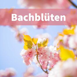 Album cover of Bachblüten (Sanft und natürlich helfen)