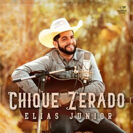 Album cover of Chique Zerado