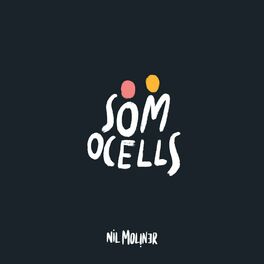 Album cover of Som Ocells