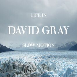 Album cover of Life In Slow Motion