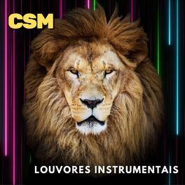 Album cover of Louvores Instrumentais