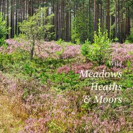 Album cover of Wild Meadows, Heaths & Moors