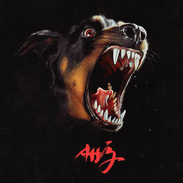 Album cover of AHJ