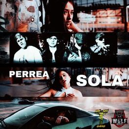 Album cover of Perrea Sola