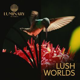 Album cover of Lush Worlds