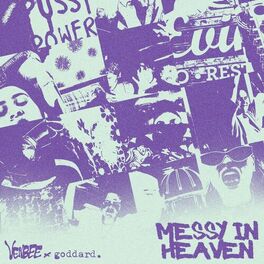 Album cover of messy in heaven (VIP mix)