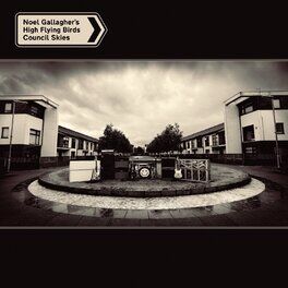 Album cover of Council Skies