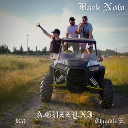 Album cover of Back Now