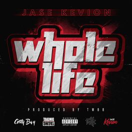 Album cover of Whole Life (feat. TM88)