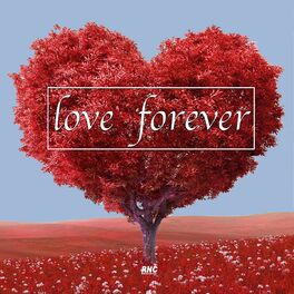 Album cover of Love Forever