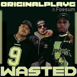 Album cover of wasted (feat. foesum & ryan bowser)