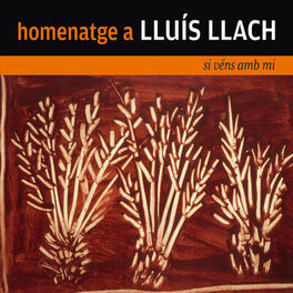 Album cover of Homenatge a Lluís Llach. Si Véns amb Mi