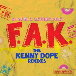 Album cover of F.A.K. (The Kenny Dope Remixes)