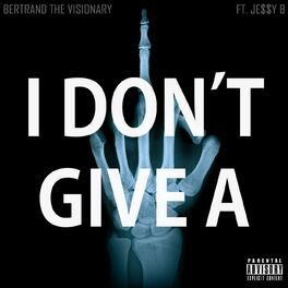 Album cover of I Don't Give A