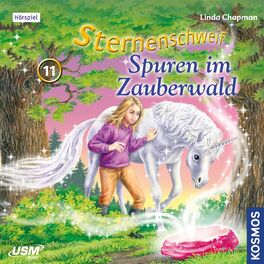 Album cover of Teil 11: Spuren im Zauberwald