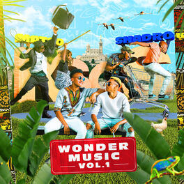 Album cover of Wonder Music, Vol. 1
