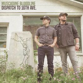 Album cover of Dispatch to 16th Ave.