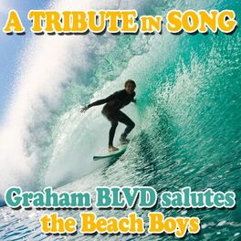 Album cover of Beach Boys Salute - A Tribute in Song