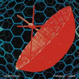 Album cover of Parabolicamará
