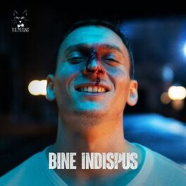 Album cover of Bine Indispus